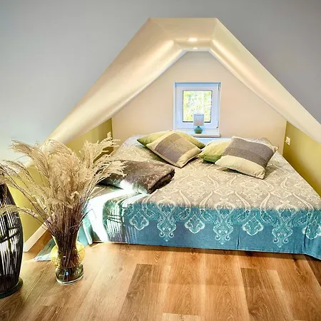 Silberberg Daire Schneeberg (Saxony)